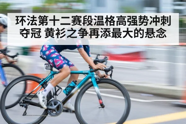 环法第十二赛段温格高强势冲刺夺冠 黄衫之争再添最大的悬念
